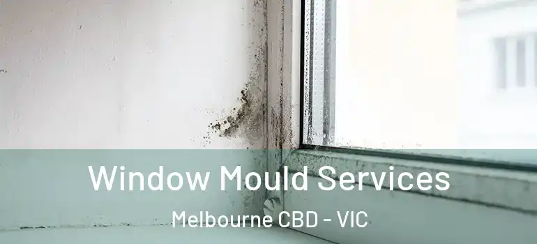 Window Mould Services Melbourne CBD - VIC