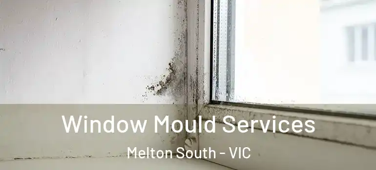 Window Mould Services Melton South - VIC