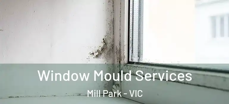 Window Mould Services Mill Park - VIC