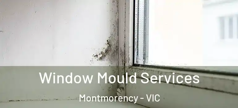 Window Mould Services Montmorency - VIC