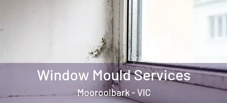  Window Mould Services Mooroolbark - VIC