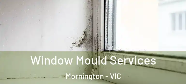 Window Mould Services Mornington - VIC