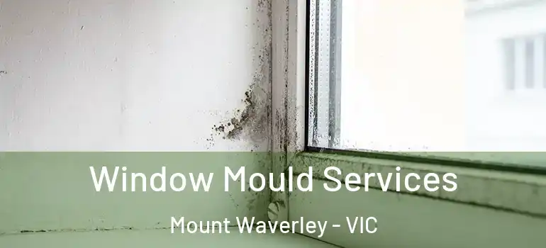 Window Mould Services Mount Waverley - VIC