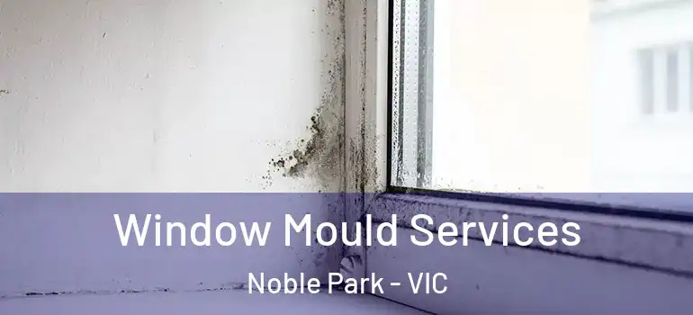 Window Mould Services Noble Park - VIC