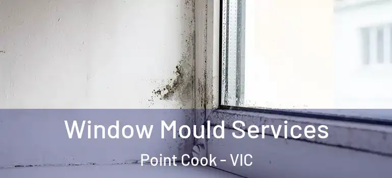  Window Mould Services Point Cook - VIC