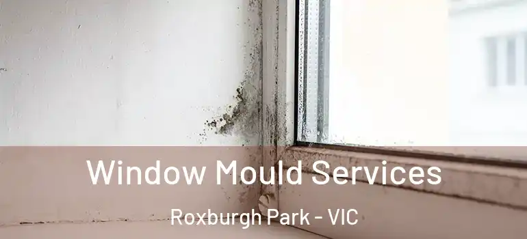 Window Mould Services Roxburgh Park - VIC