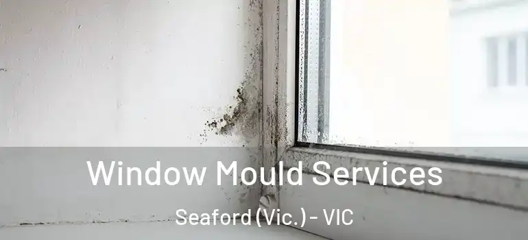  Window Mould Services Seaford (Vic.) - VIC
