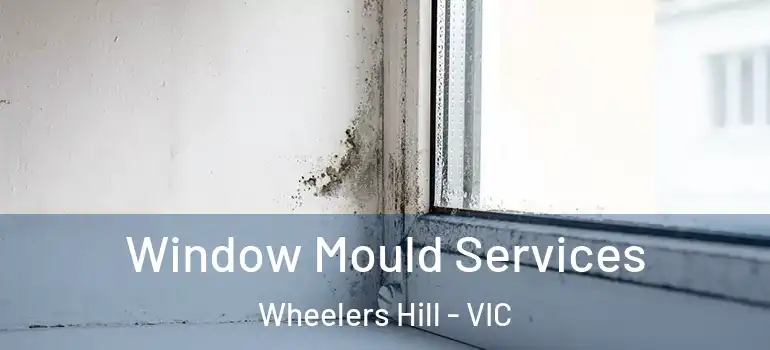Window Mould Services Wheelers Hill - VIC