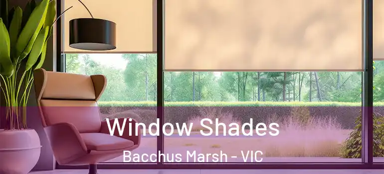 Window Shades Bacchus Marsh - VIC