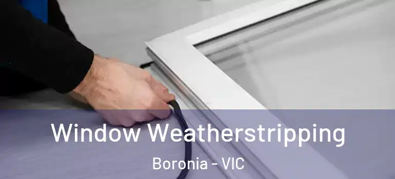 Window Weatherstripping Boronia - VIC