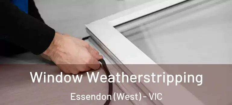 Window Weatherstripping Essendon (West) - VIC