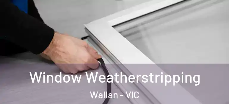 Window Weatherstripping Wallan - VIC