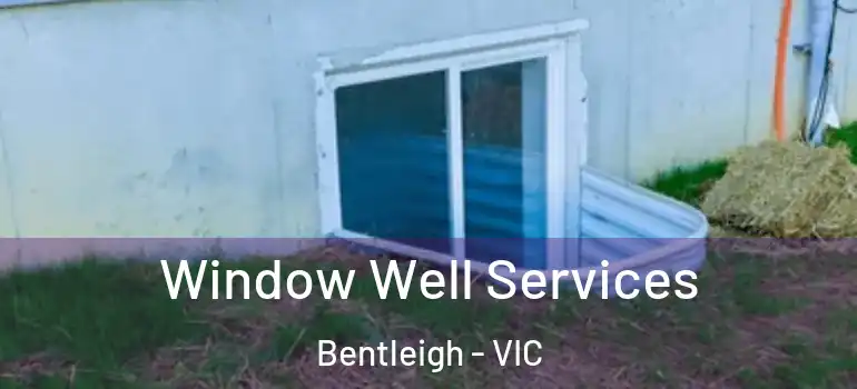 Window Well Services Bentleigh - VIC