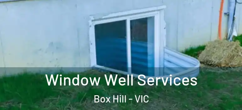  Window Well Services Box Hill - VIC