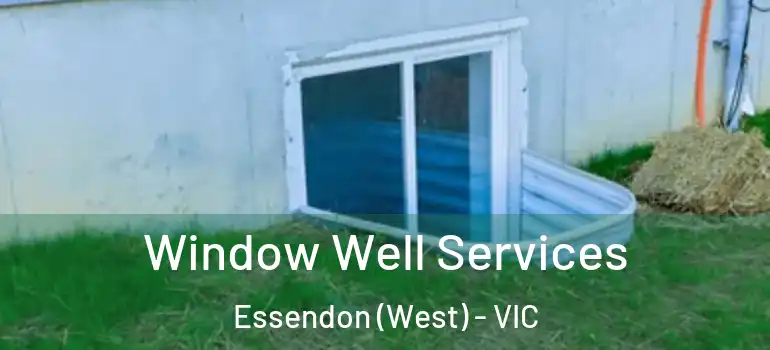 Window Well Services Essendon (West) - VIC