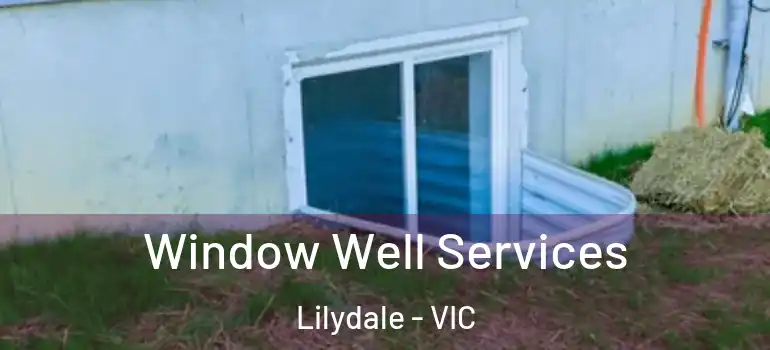 Window Well Services Lilydale - VIC