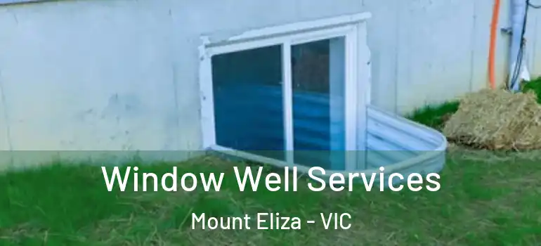 Window Well Services Mount Eliza - VIC