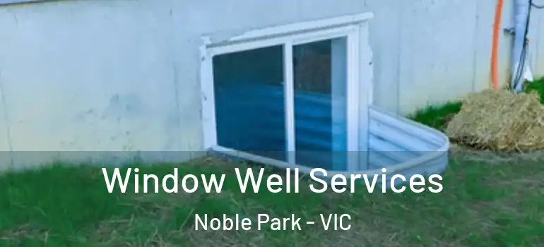Window Well Services Noble Park - VIC