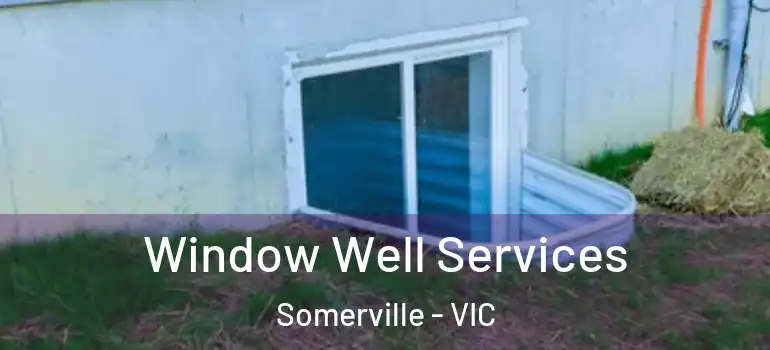 Window Well Services Somerville - VIC