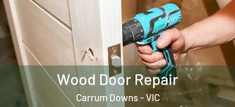 Wood Door Repair Carrum Downs - VIC